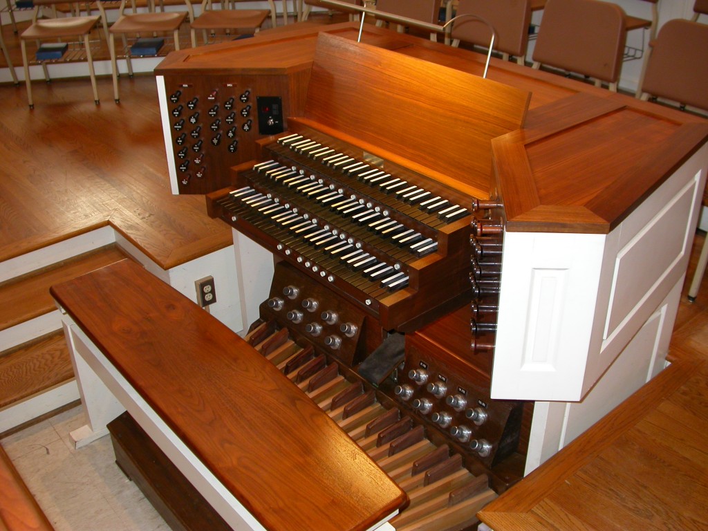 organ 003