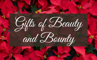Christmas Gifts of Beauty and Bounty