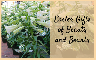 Easter Gifts of Beauty and Bounty