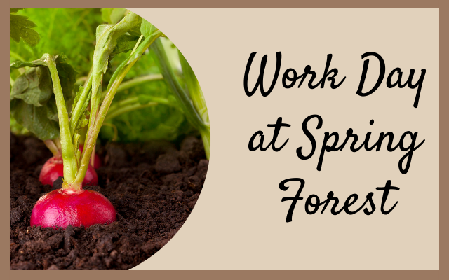 Spring Forest Work Day (New Date: Sept. 30)