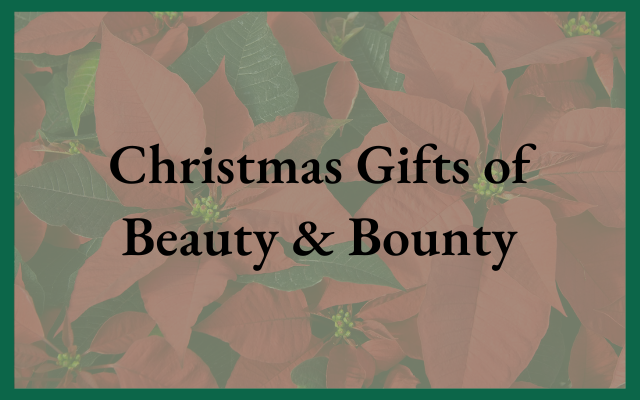 Christmas Gifts of Beauty and Bounty